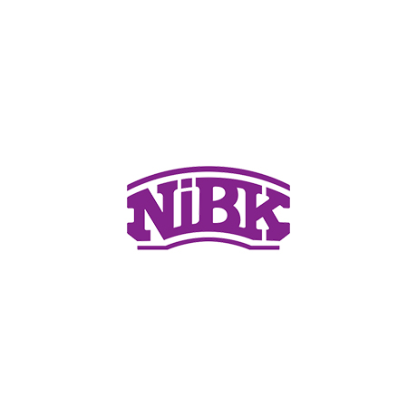 RN43008 NIBK NIBK  Диск тормозной; Диск тормозной передний; Диск тормозной задний; Тормозной диск;