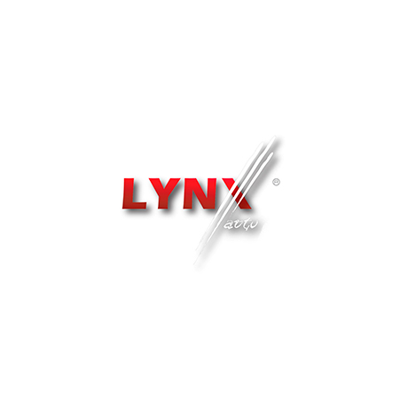 LF-1807 LYNXAUTO LYNXAUTO  Топливный фильтр