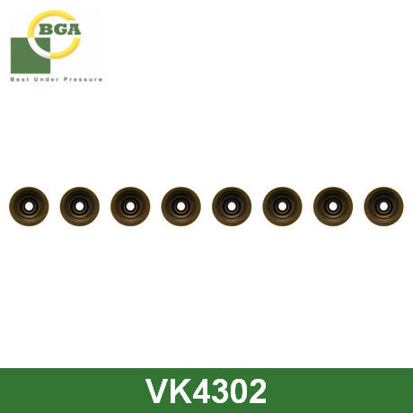 VK4302 BGA  Комплект прокладок, стержень клапана
