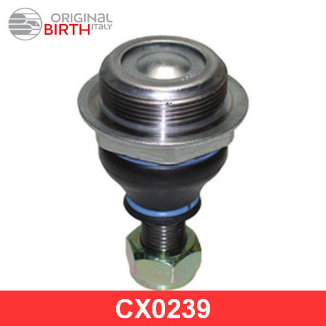 CX0239 BIRTH  Несущий / направляющий шарнир