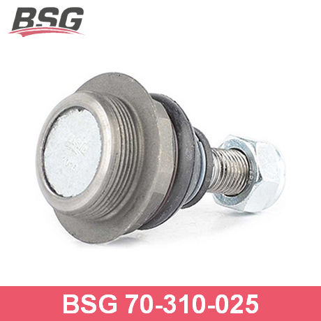 BSG 70-310-025 BSG  Несущий / направляющий шарнир