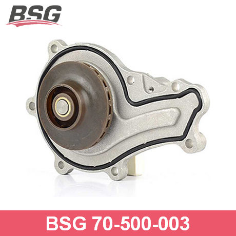 BSG 70-500-003 BSG  Водяной насос