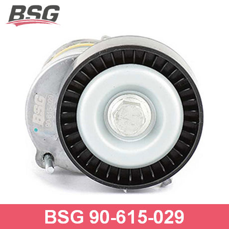BSG 90-615-029 BSG  Натяжная планка, поликлиновой ремень