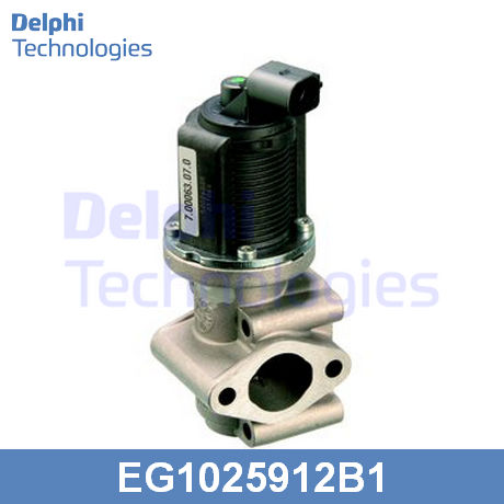 EG10259-12B1 DELPHI  Клапан возврата ОГ