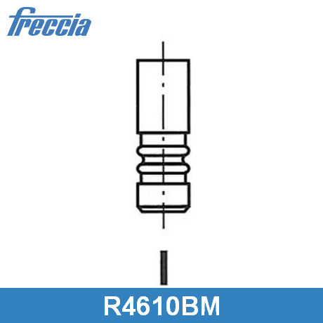 R4610/BM FRECCIA  Впускной клапан