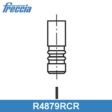 R4879/RCR FRECCIA  Выпускной клапан