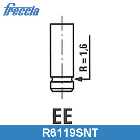 R6119/SNT FRECCIA  Впускной клапан