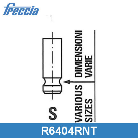 R6404/RNT FRECCIA  Выпускной клапан