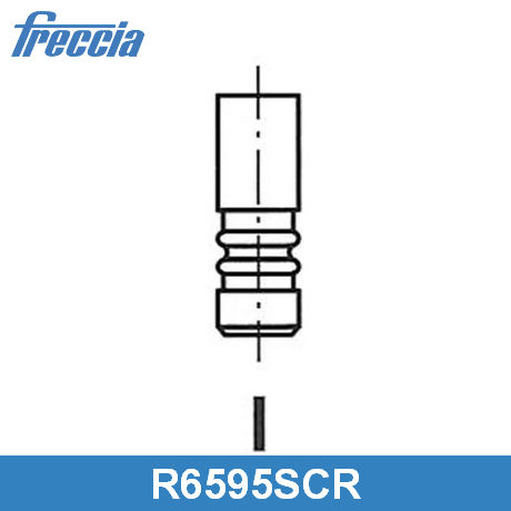 R6595/SCR FRECCIA  Впускной клапан