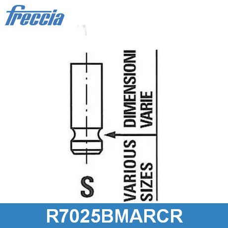 R7025/BMARCR FRECCIA  Выпускной клапан