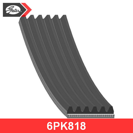 6PK818 GATES  Поликлиновой ремень