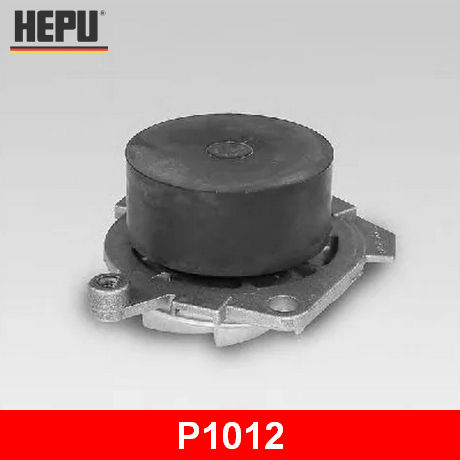P1012 HEPU  Водяной насос