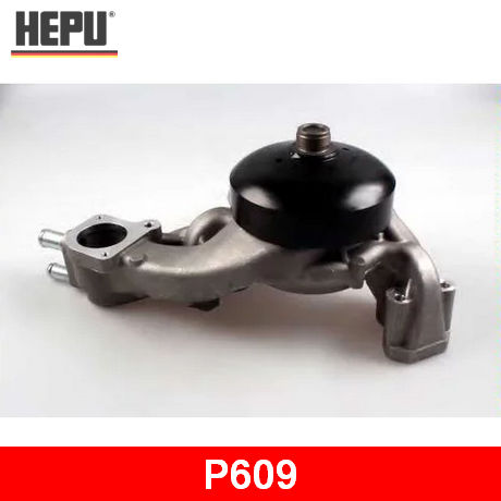 P609 HEPU  Водяной насос