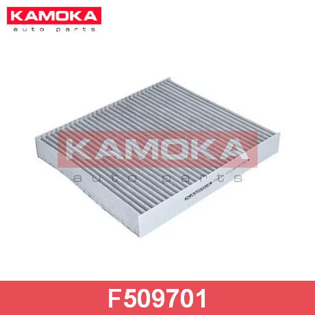 F509701 KAMOKA  Фильтр, воздух во внутренном пространстве