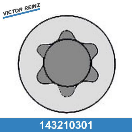 14-32103-01 REINZ  Комплект болтов головки цилидра