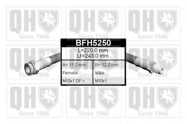 BFH5250 QUINTON HAZELL  Тормозной шланг
